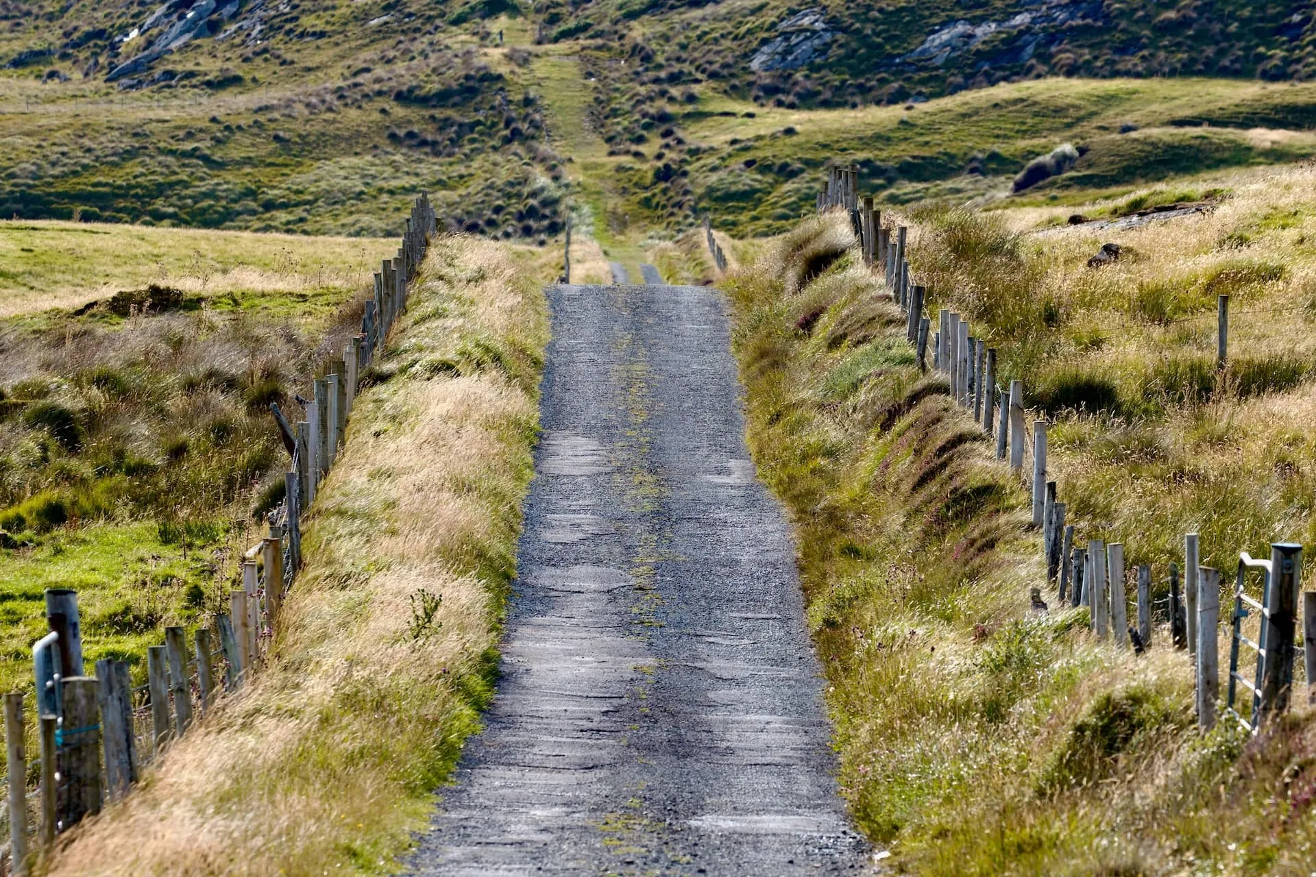 The road to Donegal Manor